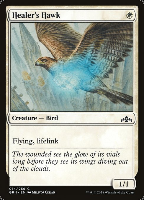 Healer's Hawk [Guilds of Ravnica] | Gear Gaming Bentonville