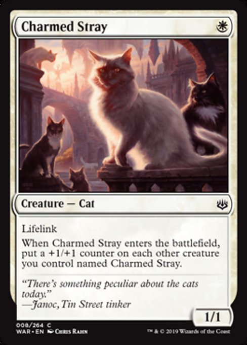 Charmed Stray [War of the Spark] | Gear Gaming Bentonville