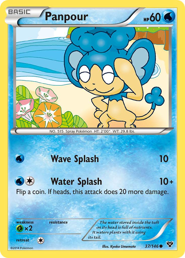 Panpour (37/146) [XY: Base Set] | Gear Gaming Bentonville