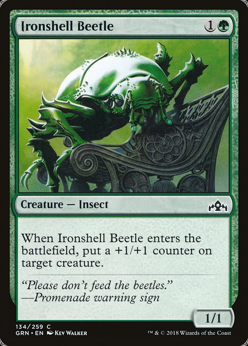 Ironshell Beetle [Guilds of Ravnica] | Gear Gaming Bentonville