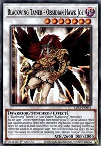 Blackwing Tamer - Obsidian Hawk Joe [LDS2-EN042] Common | Gear Gaming Bentonville