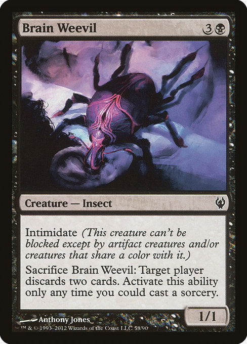 Brain Weevil [Duel Decks: Izzet vs. Golgari] | Gear Gaming Bentonville