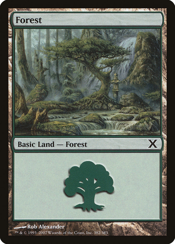 Forest (382) [Tenth Edition] | Gear Gaming Bentonville