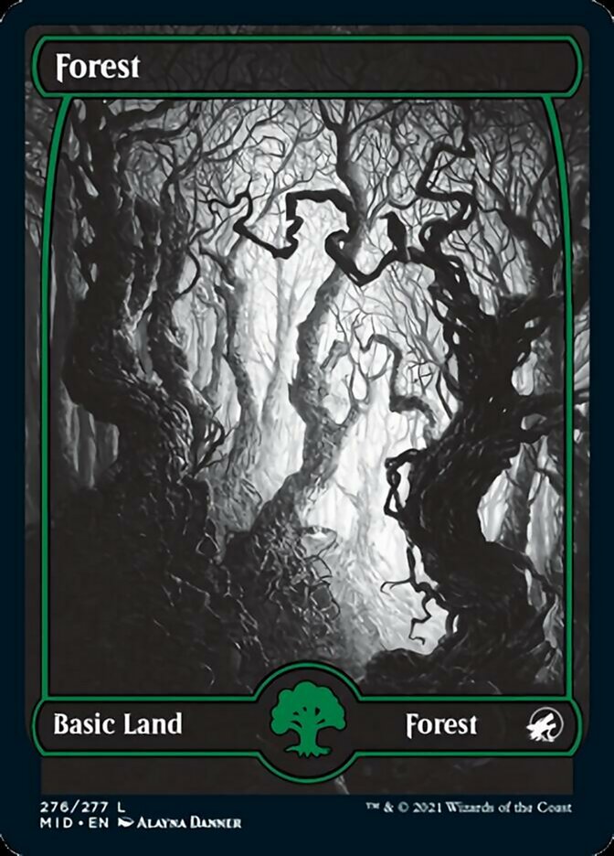 Forest (276) [Innistrad: Midnight Hunt] | Gear Gaming Bentonville