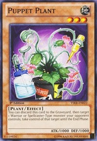 Puppet Plant [Starter Deck: Kaiba Reloaded] [YSKR-EN022] | Gear Gaming Bentonville