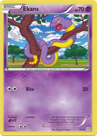 Ekans (16/30) [XY: Trainer Kit - Noivern] | Gear Gaming Bentonville