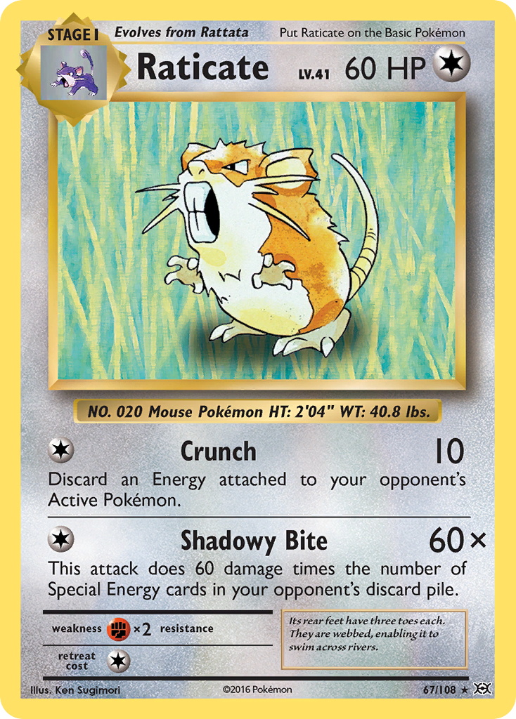 Raticate (67/108) [XY: Evolutions] | Gear Gaming Bentonville