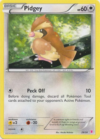 Pidgey (29/30) [XY: Trainer Kit 1 - Wigglytuff] | Gear Gaming Bentonville