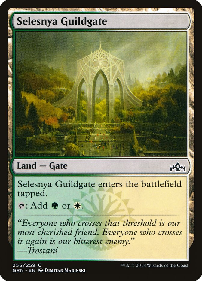 Selesnya Guildgate (255/259) [Guilds of Ravnica] | Gear Gaming Bentonville