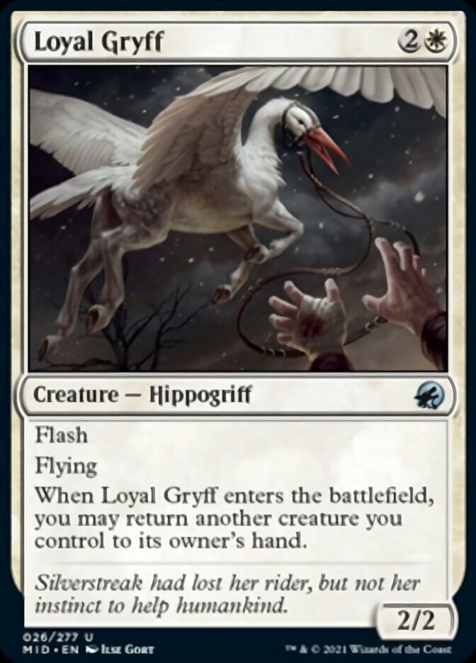 Loyal Gryff [Innistrad: Midnight Hunt] | Gear Gaming Bentonville