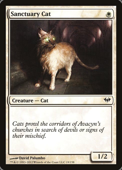 Sanctuary Cat [Dark Ascension] | Gear Gaming Bentonville