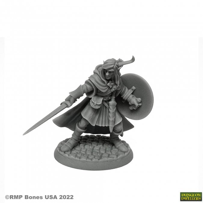 Mellonir Windrunner, Elf Warrior | Gear Gaming Bentonville