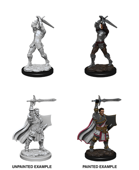 D&D Nolzur’s Marvelous Miniatures – Male Human Paladin | Gear Gaming Bentonville