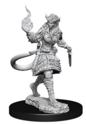 D&D Nolzur's Marvelous Miniatures Tiefling Sorcerer Female | Gear Gaming Bentonville