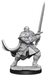 D&D Nolzur's Marvelous Miniatures Half-Orc Paladin Male | Gear Gaming Bentonville