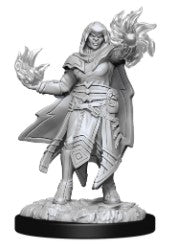 D&D Nolzur's Marvelous Miniatures Hobgoblin Fighter Male & Hobgoblin Wizard Female | Gear Gaming Bentonville