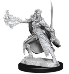 D&D Nolzur's Marvelous Miniatures Winter Eladrin & Spring Eladrin | Gear Gaming Bentonville