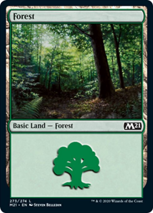 Forest (273) [Core Set 2021] | Gear Gaming Bentonville