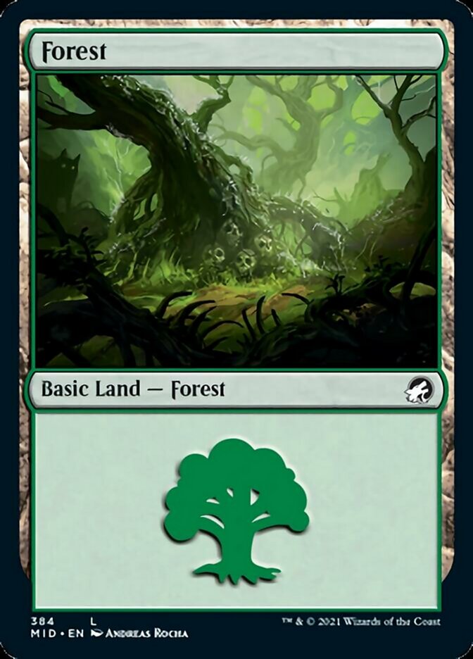 Forest (384) [Innistrad: Midnight Hunt] | Gear Gaming Bentonville