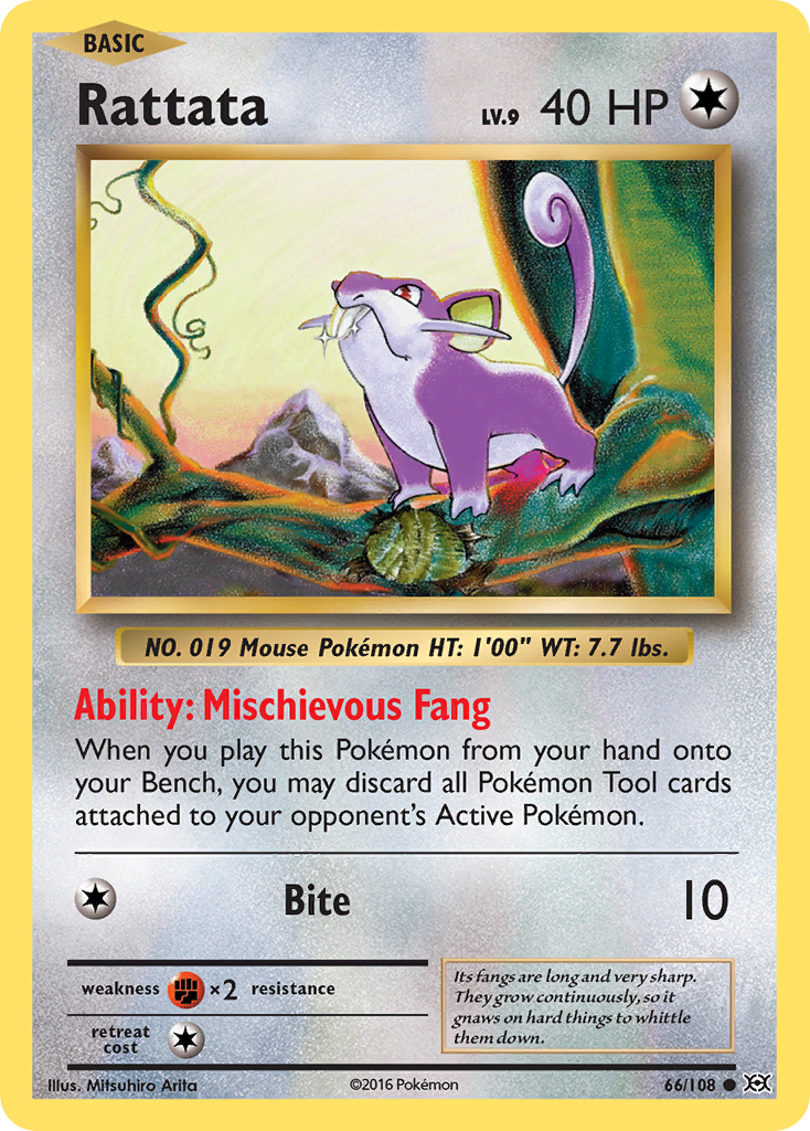 Rattata (66/108) [XY: Evolutions] | Gear Gaming Bentonville