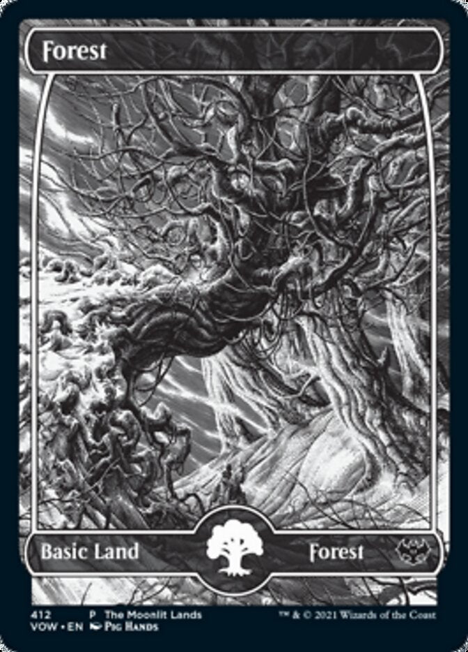 Forest (The Moonlit Lands) (Foil Etched) [Innistrad: Crimson Vow Promos] | Gear Gaming Bentonville