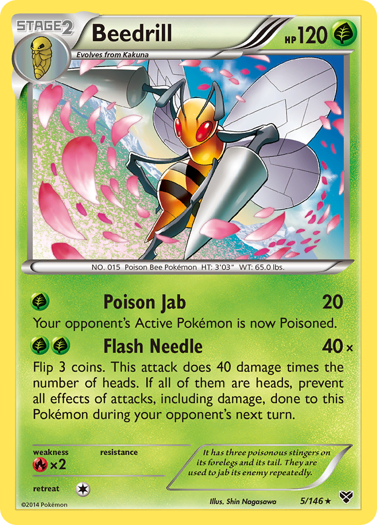 Beedrill (5/146) [XY: Base Set] | Gear Gaming Bentonville