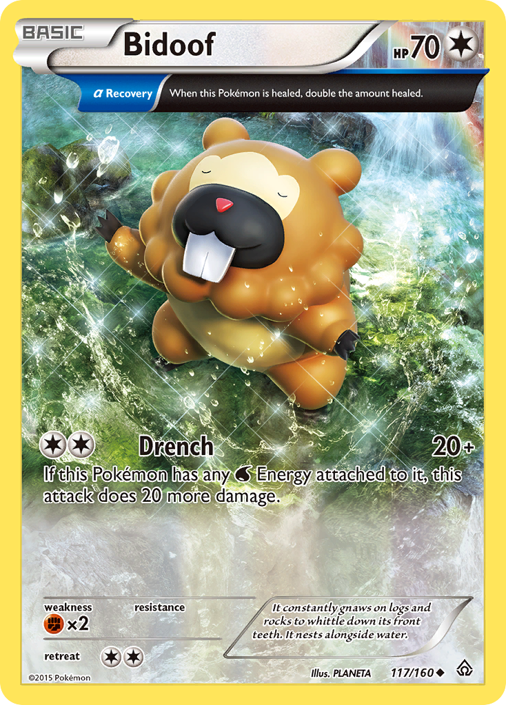 Bidoof (117/160) [XY: Primal Clash] | Gear Gaming Bentonville