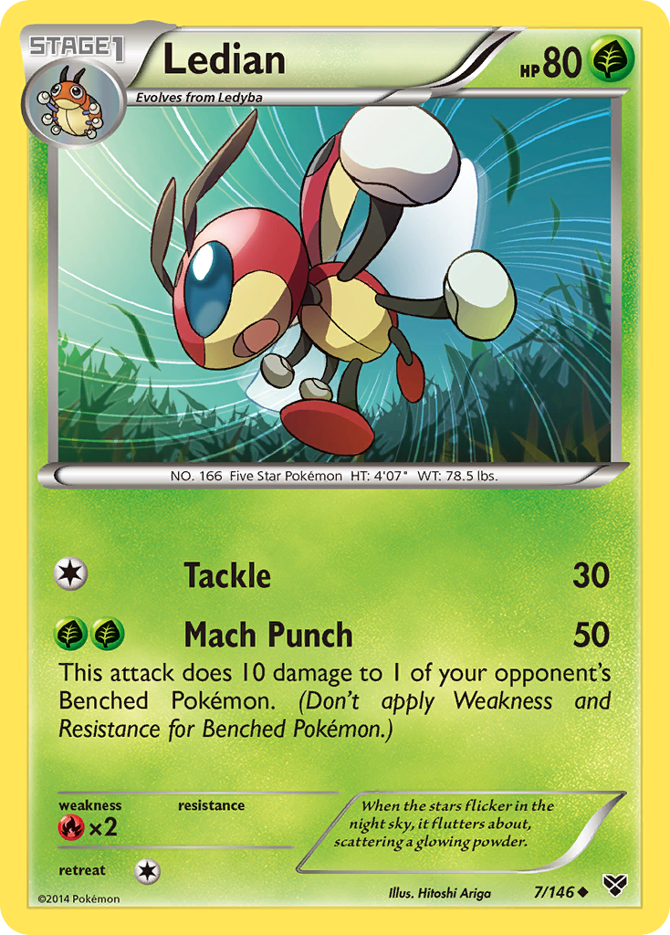 Ledian (7/146) [XY: Base Set] | Gear Gaming Bentonville