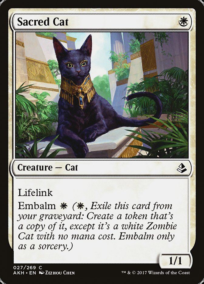 Sacred Cat [Amonkhet] | Gear Gaming Bentonville