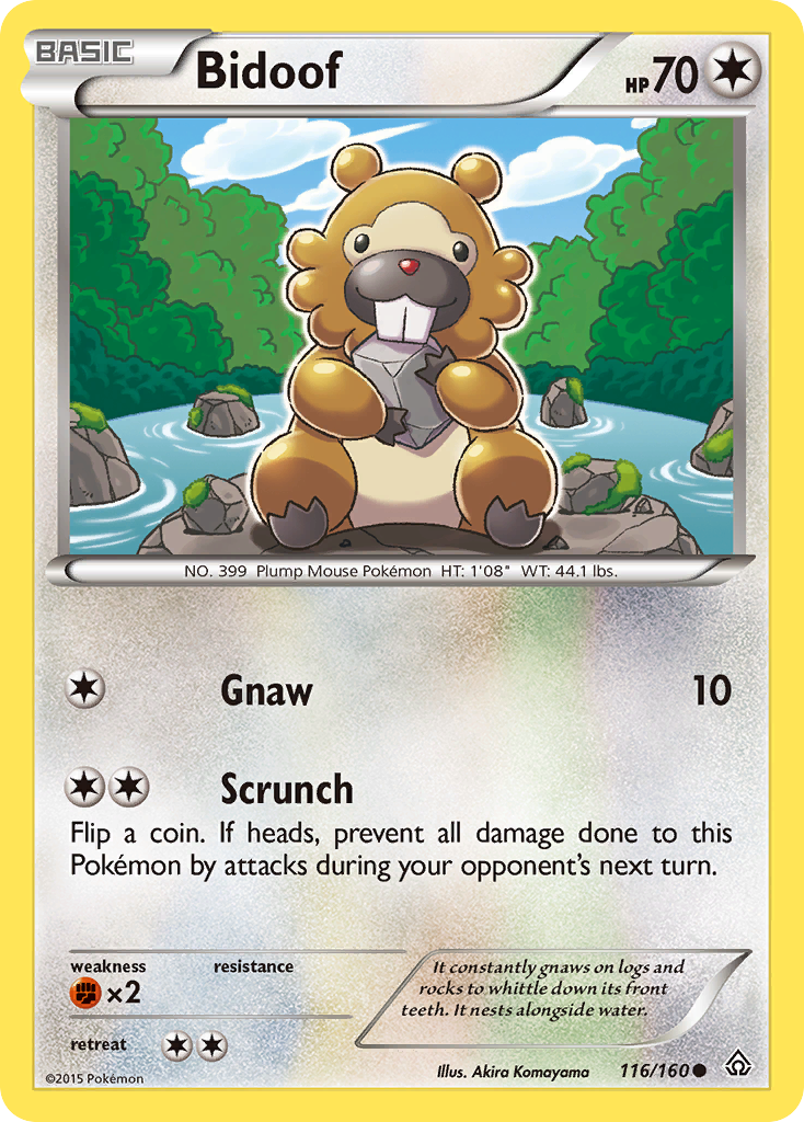 Bidoof (116/160) [XY: Primal Clash] | Gear Gaming Bentonville